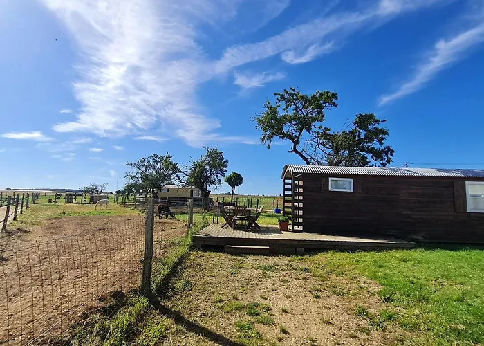 Roulotte Authentique En Pleine Nature Pres De Nancy - Fr-1-584-363 Burthecourt-aux-Chenes